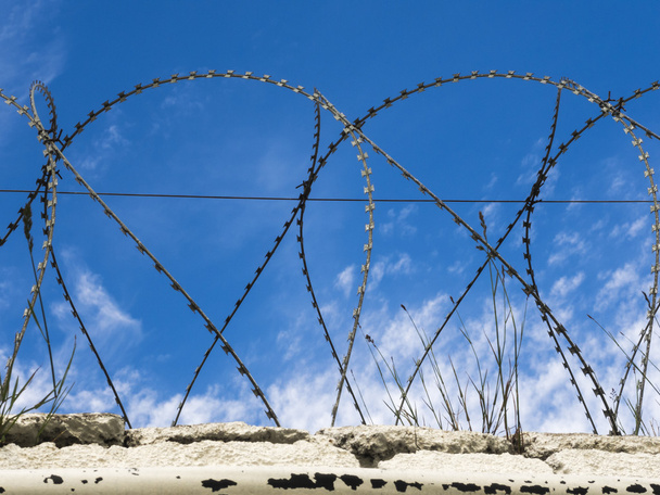 Barbed wire on a prison fence - Photo, Image
