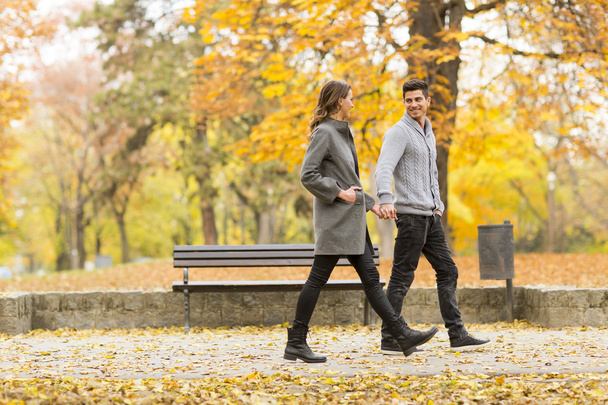 Young couple in the autumn park - Foto, imagen