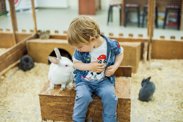 Boy play with the rabbits - Фото, зображення