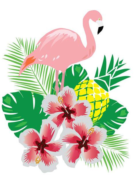 Flamingo tropikalny wektor - Wektor, obraz