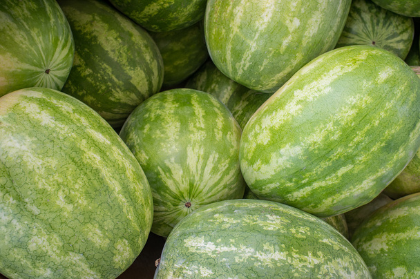 große Bio-Wassermelone - Foto, Bild