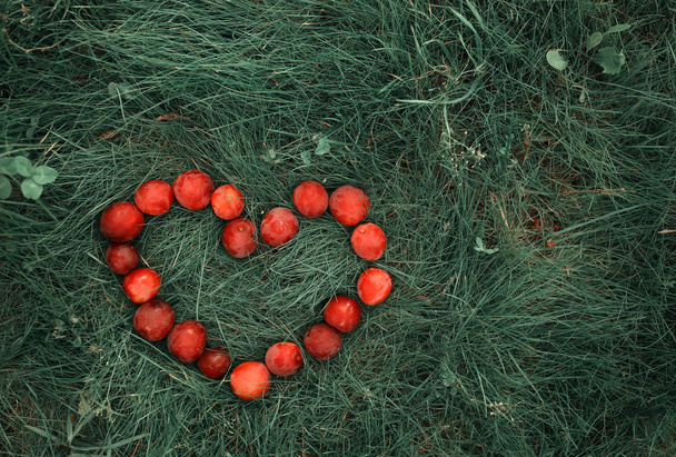 Ameixa em forma de coração
 - Foto, Imagem