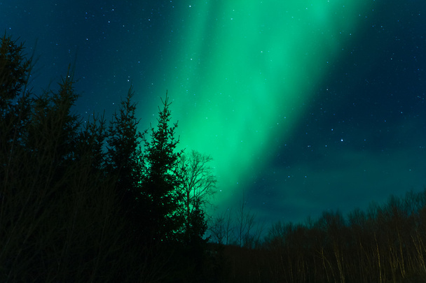 Polární (září Aurora Borealis) na obloze - Fotografie, Obrázek