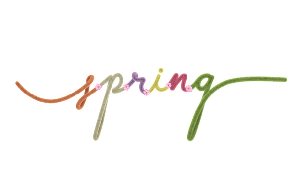 Letras de esponjosa fuente primavera aislar 3d ilustración 3d de renderizado - Foto, Imagen