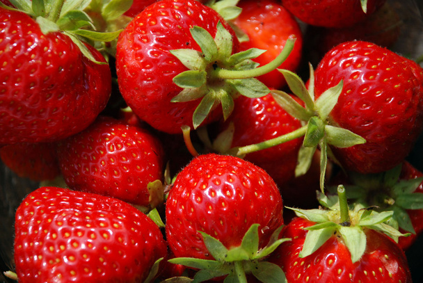 fraise gros plan
 - Photo, image