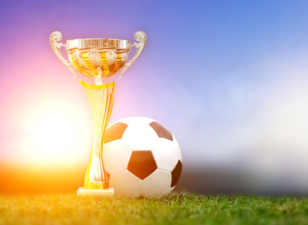 Золотий трофей і футбольний м'яч у траві
  - Фото, зображення