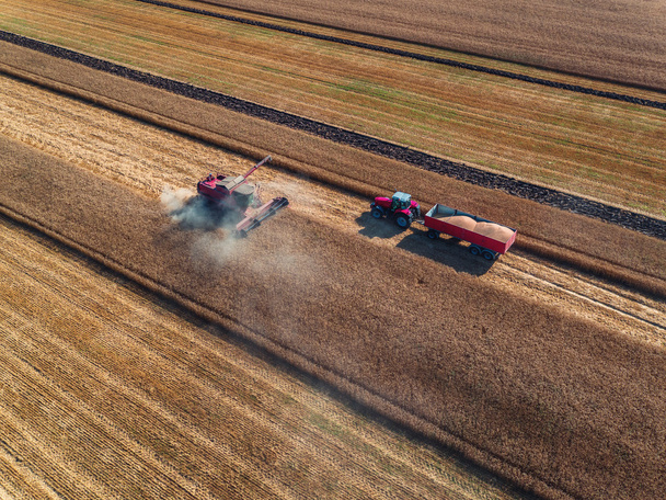 Aerial view of combine on harvest field - Photo, Image