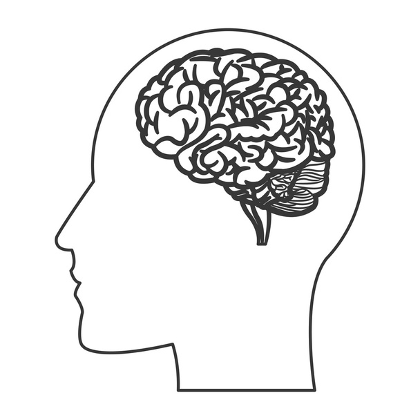 cérebro humano dentro do ícone silhueta cabeça
 - Vetor, Imagem