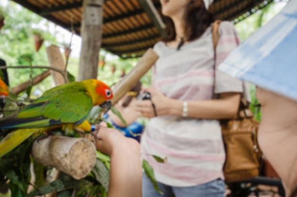 blur photo feeding the parrot - Foto, imagen