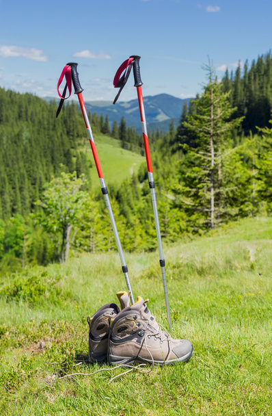 Trekking poles and trekking shoes on background of forested moun - Photo, Image