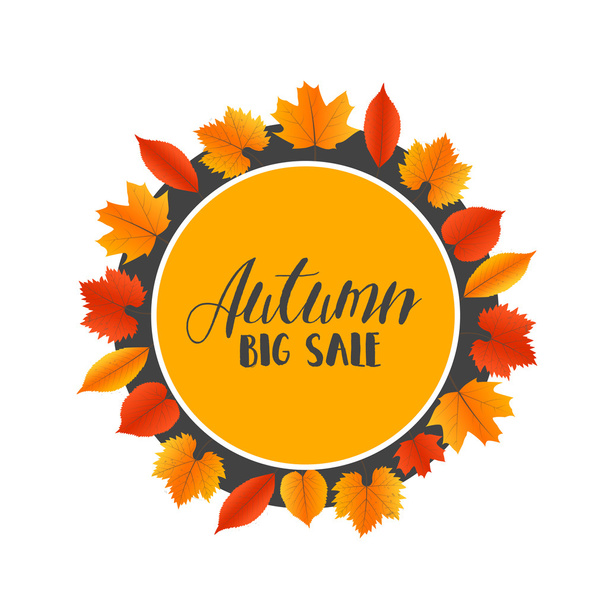 Autumn Sales Banner With Colorful Leaves. Vector - Вектор,изображение