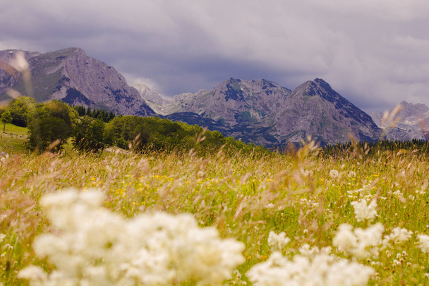 自然山風景モンテネグロ - 写真・画像