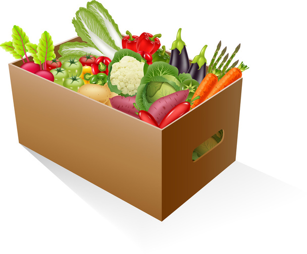 verduras orgánicas frescas - Vector, Imagen