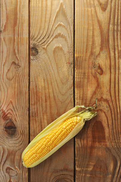 fresh corn on the cob - a whole cob with leaves - Foto, imagen