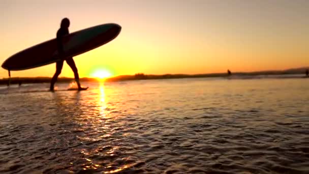 SLOW MOTION DOF: невпізнавана жінка з довгим бортовим серфінгом, що йде в океан
 - Кадри, відео