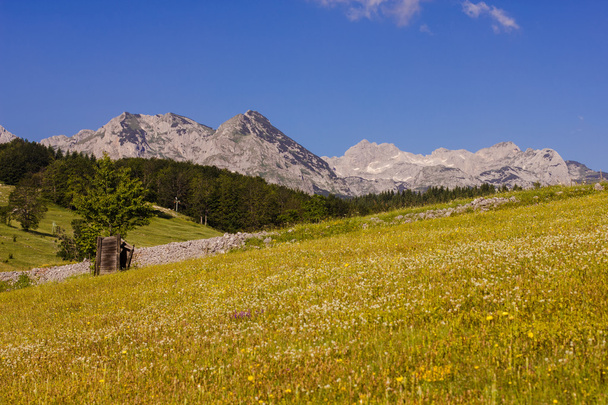 Nature Mountain Landscape Montenegro - Фото, зображення
