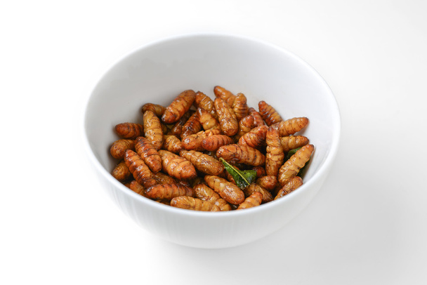 fried insects in cup - Foto, afbeelding
