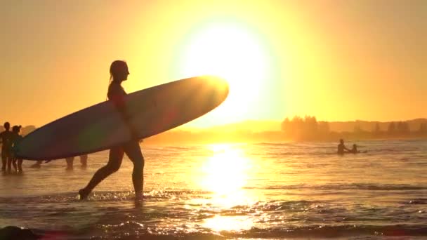 Молода дівчина-серфер, яка йде в океан з дошкою для серфінгу
 - Кадри, відео