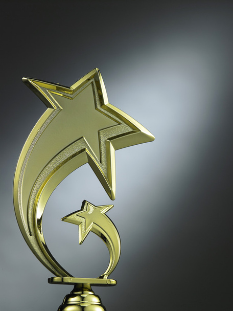 Star shape trophy - Фото, изображение