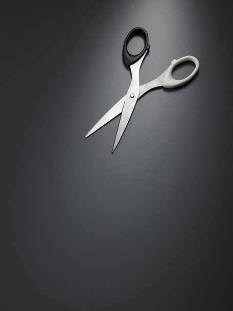 Large metal scissors - Fotoğraf, Görsel