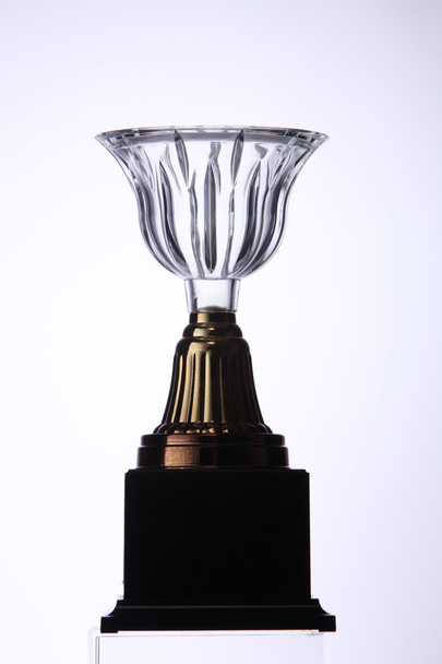 Winner crystal trophy  - Fotografie, Obrázek