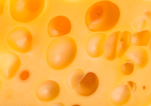 Piece of cheese isolated. - Foto, afbeelding