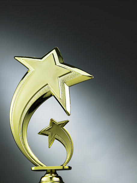 Star shape trophy - Fotografie, Obrázek