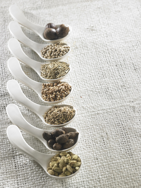 Dry spices in spoons - Fotó, kép