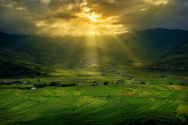 Campos de arroz en la terraza en temporada de lluvias en Mu Cang Chai, Yen Bai, Vietnam
 - Foto, imagen