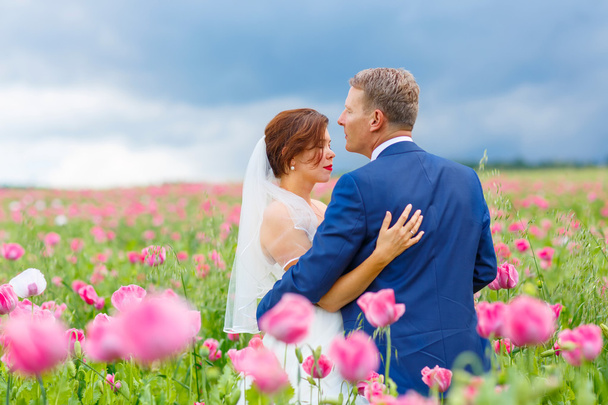 Heureux couple de mariage dans le champ de pavot rose
 - Photo, image