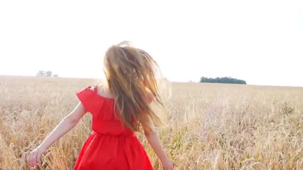 beautiful young woman run away in yellow wheat field - Footage, Video
