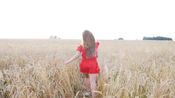kaunis nuori nainen karkaa keltaisella vehnäpellolla
 - Materiaali, video