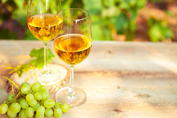 Zöld szőlő és két pohár fehér bort a szőlőben - Fotó, kép