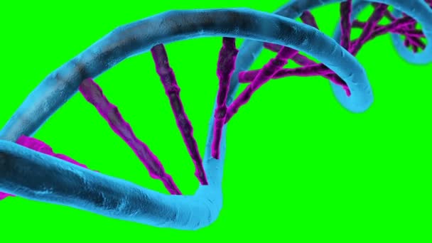 Cadena de ADN animada. ADN de rotación
 - Metraje, vídeo
