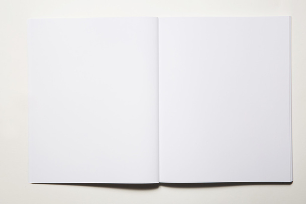 Notebook aberto vazio em segundo plano
 - Foto, Imagem