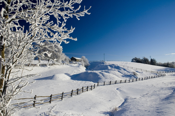 Przepikna zima na Kaszubach - Fotoğraf, Görsel