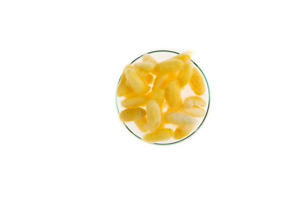 Красивый желтый цвет Коконы в стеклянной пластине
  - Фото, изображение