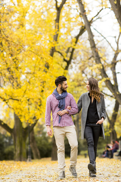 Jeune couple dans le parc d'automne
 - Photo, image