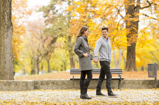Young couple in the autumn park - Фото, зображення