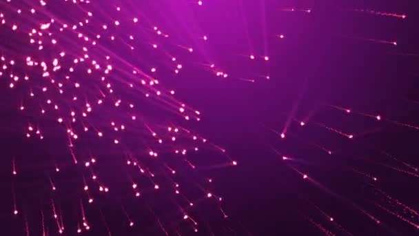 Villogó részecskék, lila háttér varrat nélküli hurok. Romantikus háttér - Felvétel, videó