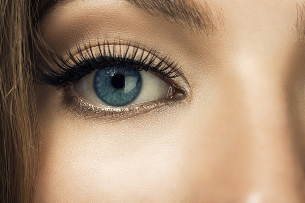 Macro image of human eye. Beautiful eye. Younge woman. - Photo, Image