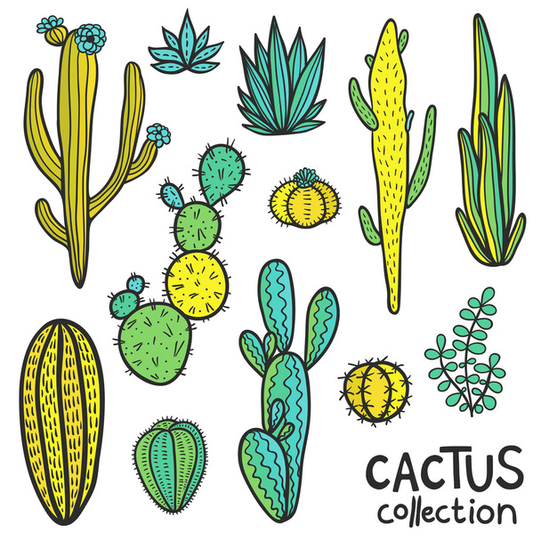 Cactuses Hand Drawn Abstract Natural Collection - Vector, afbeelding