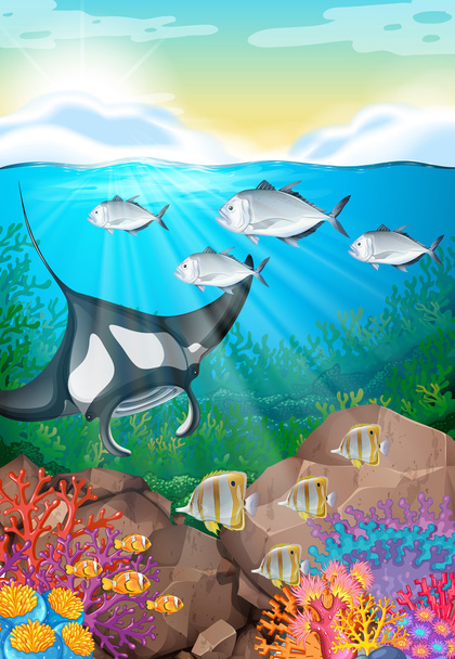 Многие рыбы плавают под океаном
 - Вектор,изображение