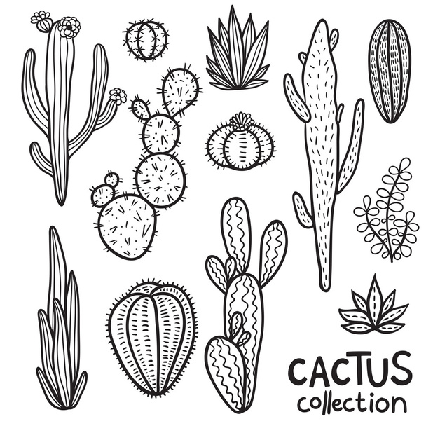Cacti Hand Drawn Abstract Collection - Vector, afbeelding
