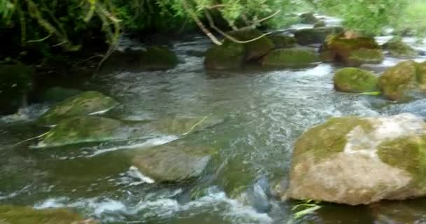 Швидкий тече річка з каменів у воді 4 к - Кадри, відео