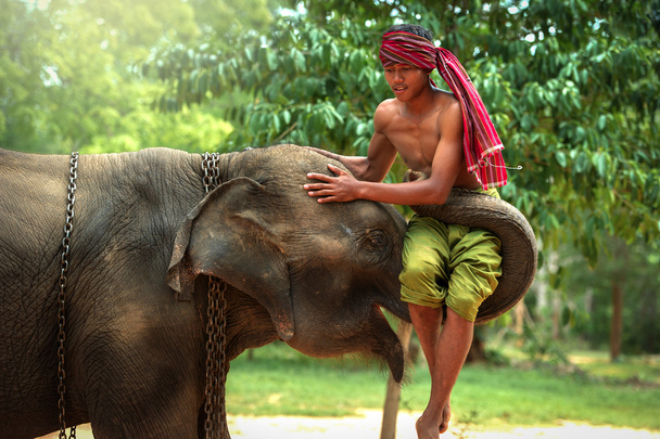Best Friendship  Mahout with elephant  - Photo, Image