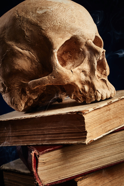 Skull on books stack - Photo, Image