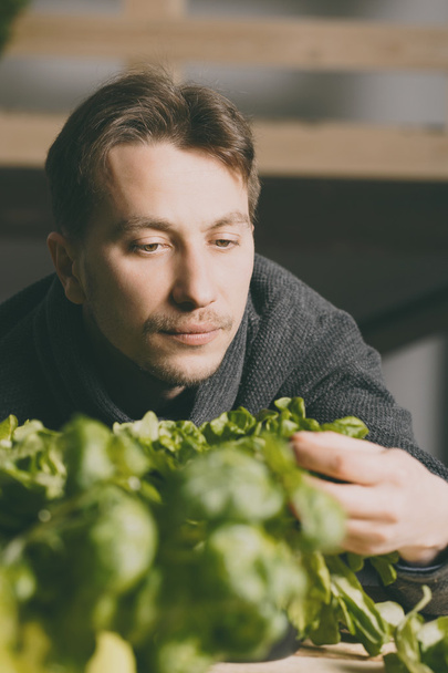 Handsome grower carefully growing and checking plants - Foto, afbeelding