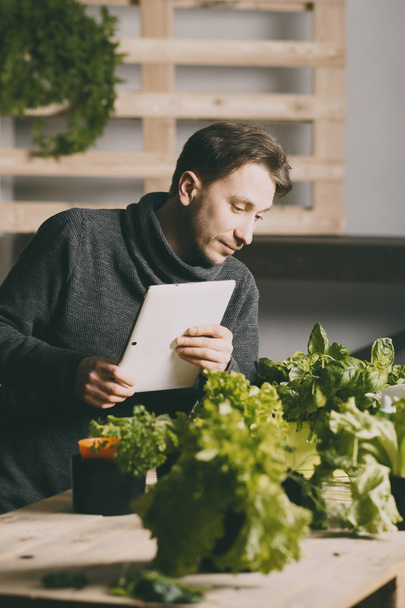 Handsome grower using his tablet while growing plants - Foto, immagini