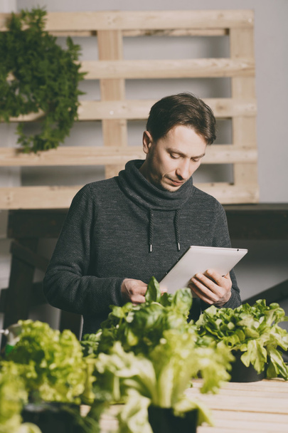 Handsome grower using his tablet while growing plants - Fotografie, Obrázek